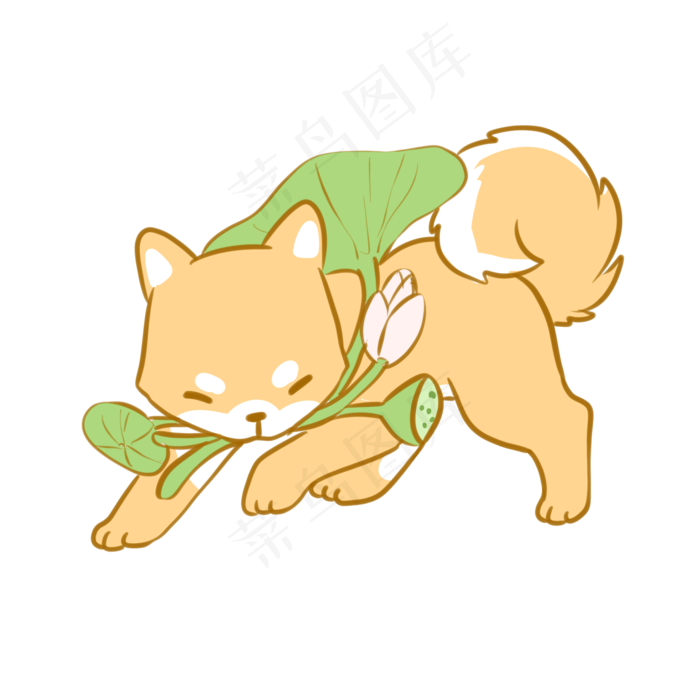 叼着荷叶的柴犬