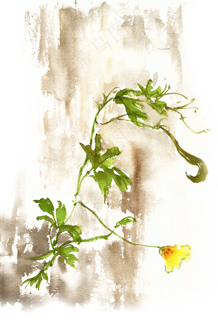 水彩画墙上的苦瓜花(3500X5251(DPI:300))psd模版下载