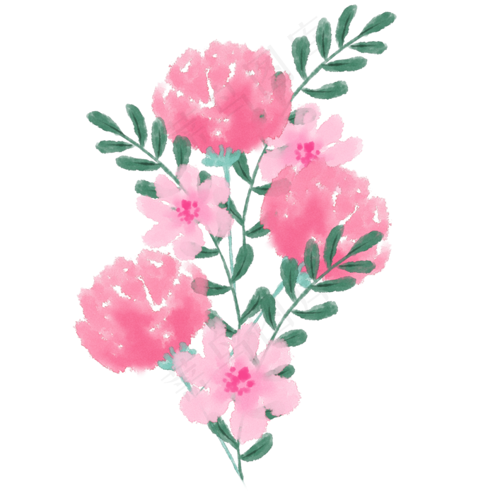 手绘水彩康乃馨免扣png素材