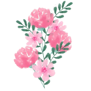 手绘水彩康乃馨免扣png素材