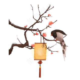 落在梅花枝上的喜鹊