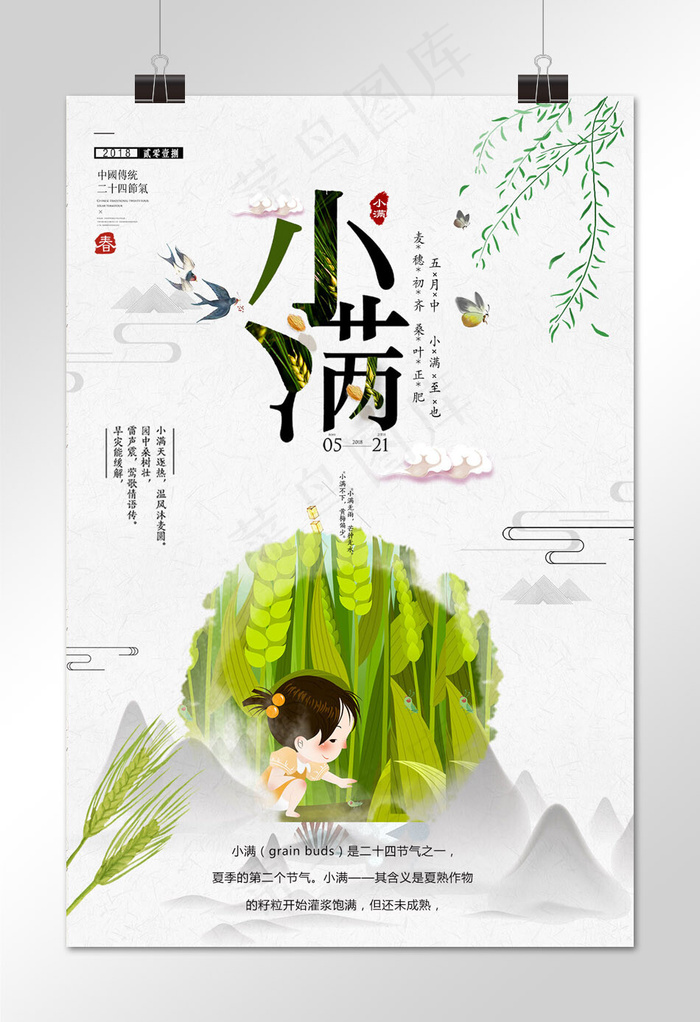 小满  节日素材 二十四节气 中华传统节日  简约