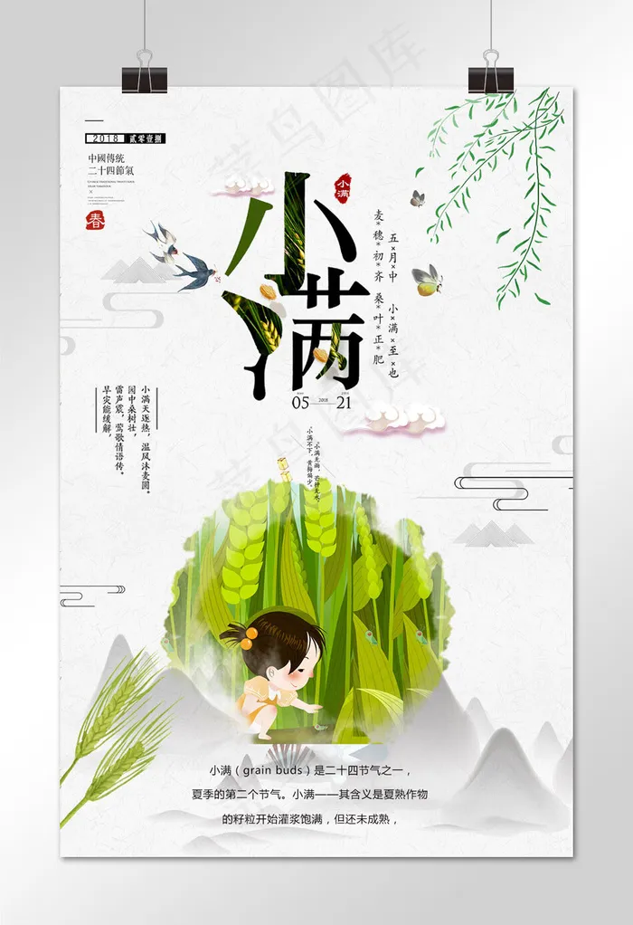 小满  节日素材 二十四节气 中华传统节日  简约