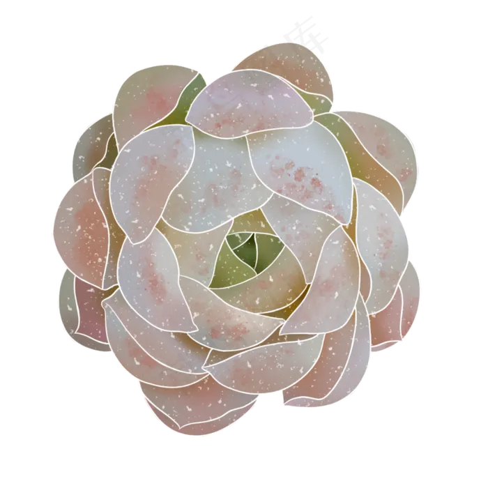 春季水彩植物多肉(2000X2000(DPI:300))psd模版下载
