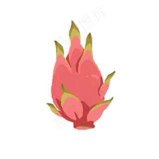 夏日水果火龙果