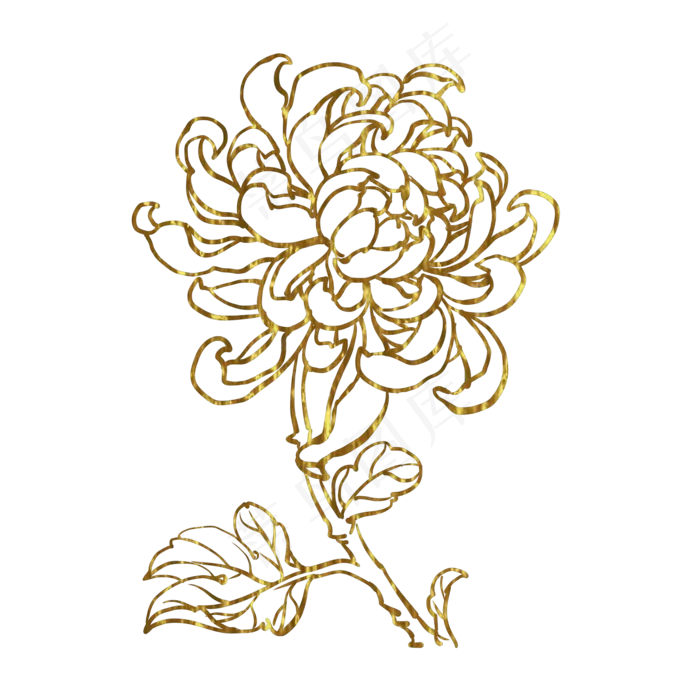 金色花菊花(2000X2000(DPI:300))psd模版下载