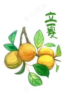 立夏二十四节气黄色柠檬水果节气,免抠元素