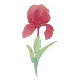 春天绿色植物红花