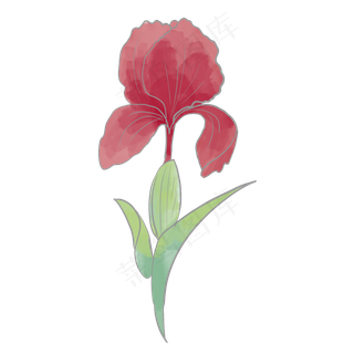 春天绿色植物红花