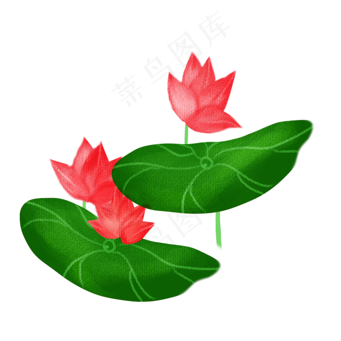 春夏荷花png素材(2000X2000(DPI:300))psd模版下载