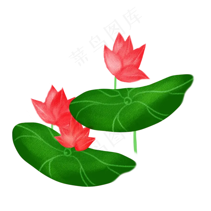 春夏荷花png素材(2000X2000(DPI:300))psd模版下载