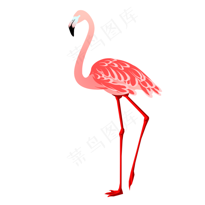 卡通手绘昂首挺胸的火烈鸟插,免抠元素(2000*2000px 300 dpi )psd模版下载