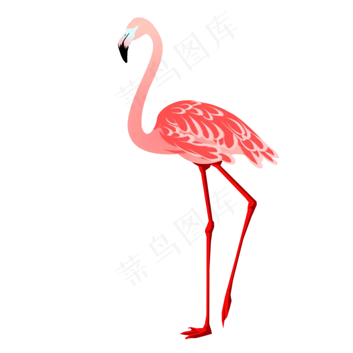 卡通手绘昂首挺胸的火烈鸟插,免抠元素(2000*2000px 300 dpi )psd模版下载