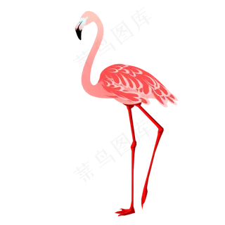 卡通手绘昂首挺胸的火烈鸟插,免抠元素
