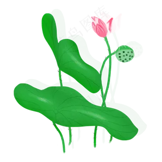 春夏荷花png素材