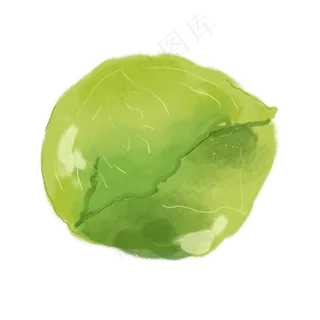 水彩小清新绿色平包菜洋白菜蔬菜