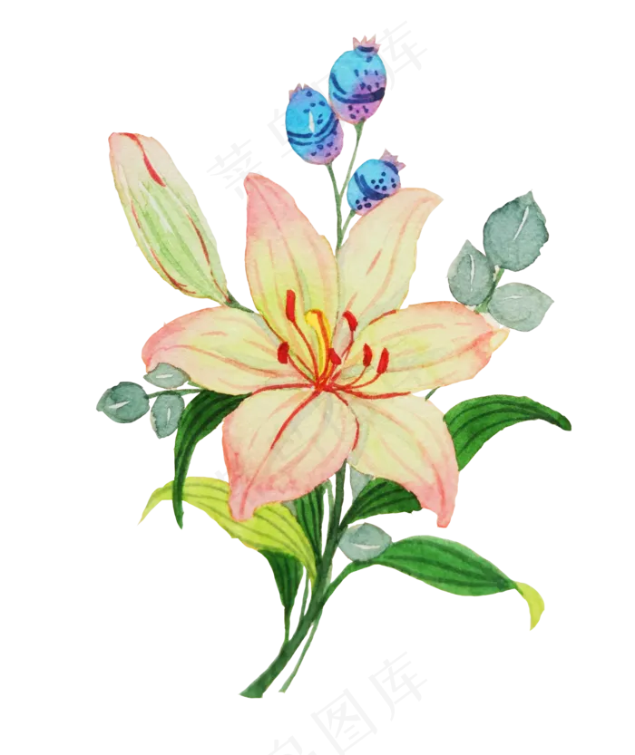 手绘的百合花(2100X2500(DPI:299))psd模版下载