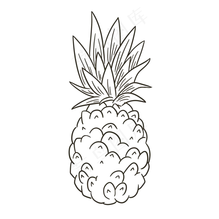 线描水果菠萝(2000X2000(DPI:300))psd模版下载