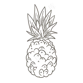 线描水果菠萝