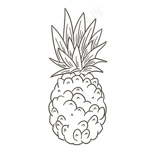 线描水果菠萝