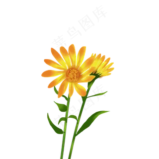春天黄色的向日葵,免抠元素