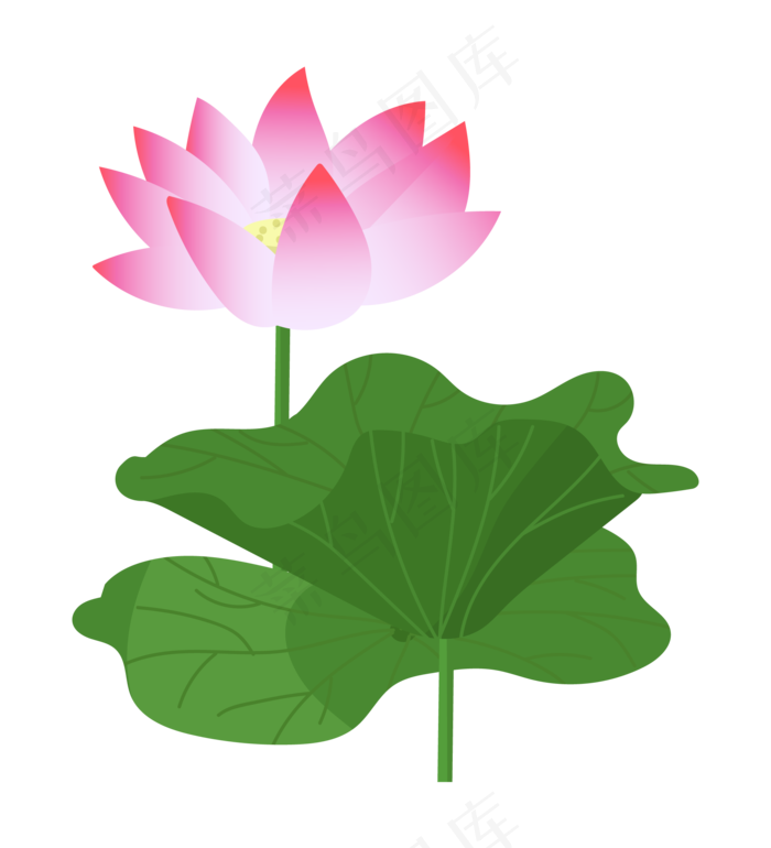 一朵粉色荷花插图(2000*2200px 300 dpi )ai矢量模版下载