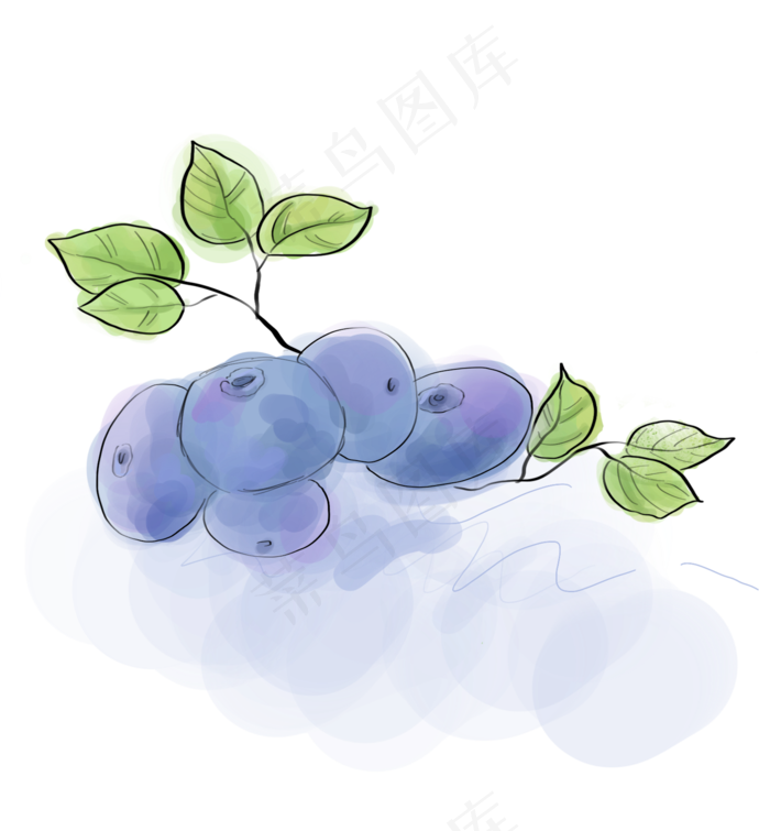 水彩蓝莓水果