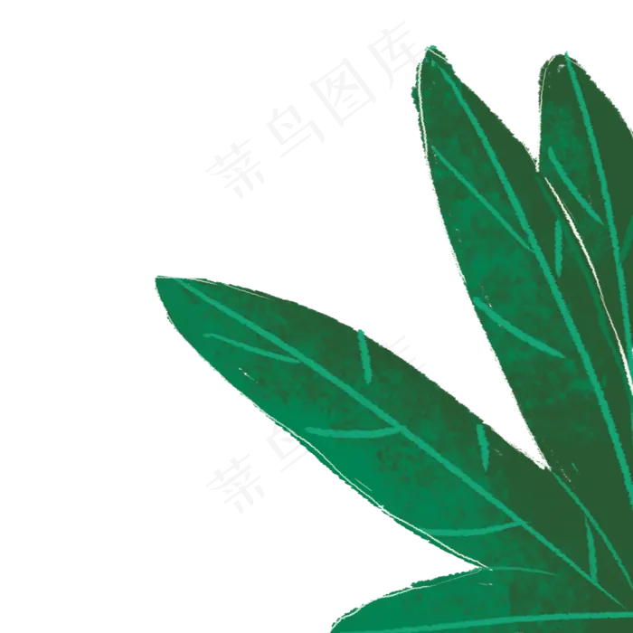 几片漂亮的卵形叶子(2000X2000(DPI:300))psd模版下载