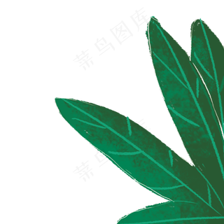 几片漂亮的卵形叶子