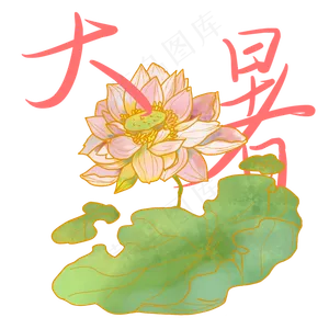 大暑字体荷花