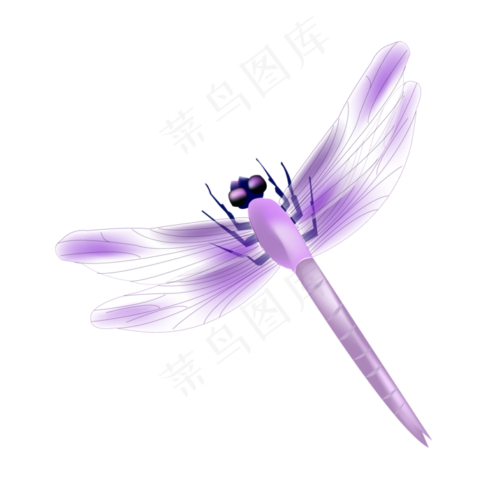 夏天处暑户外蜻蜓(2000X2000(DPI:350))ai矢量模版下载