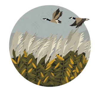 二十四节气大雁南飞芦苇农历时节,免抠元素