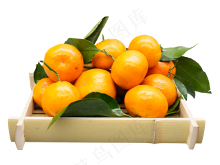黄色水果砂糖橘