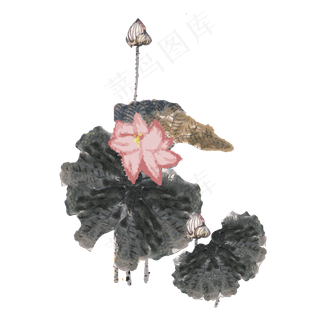 手绘中国风荷花水墨