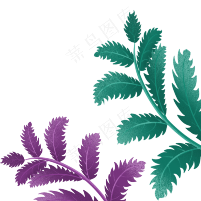 两个春季自然植物(2000X2000(DPI:300))psd模版下载