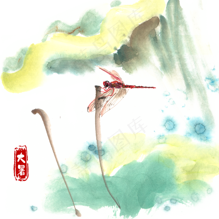 大暑荷叶与红蜻蜓