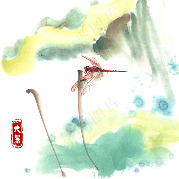 大暑荷叶与红蜻蜓(4724X4724(DPI:300))psd模版下载