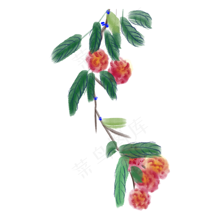卡通荔枝水墨插画