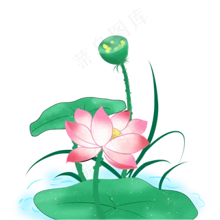 夏季主题小清新荷花莲蓬PNG免