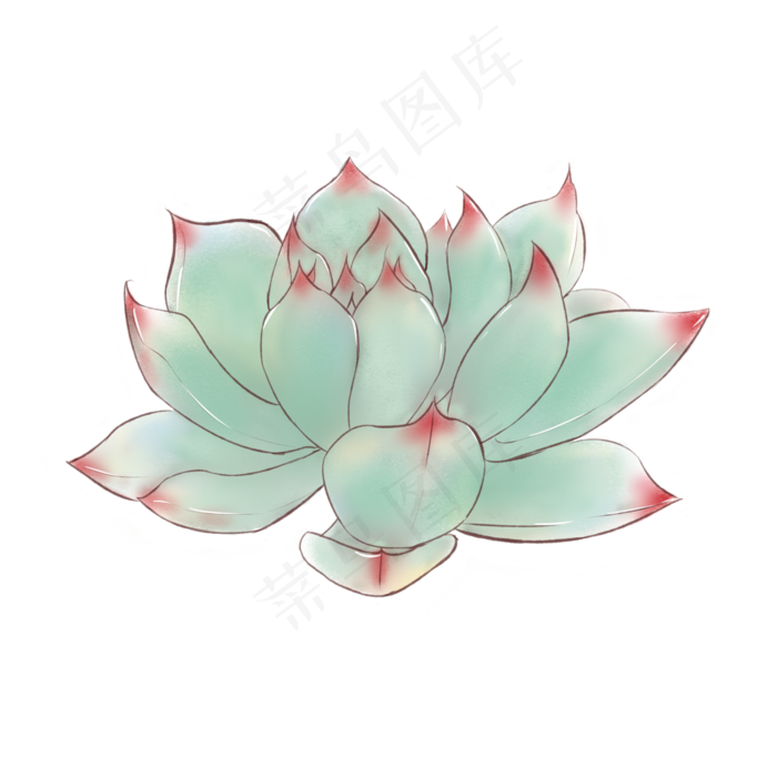 手绘可爱多肉手绘可商用元素,免抠元素