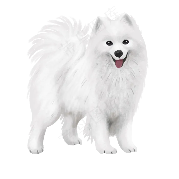 宠物狗萨摩耶动物萌,免抠元素(3000*3000px 300 dpi )psd模版下载