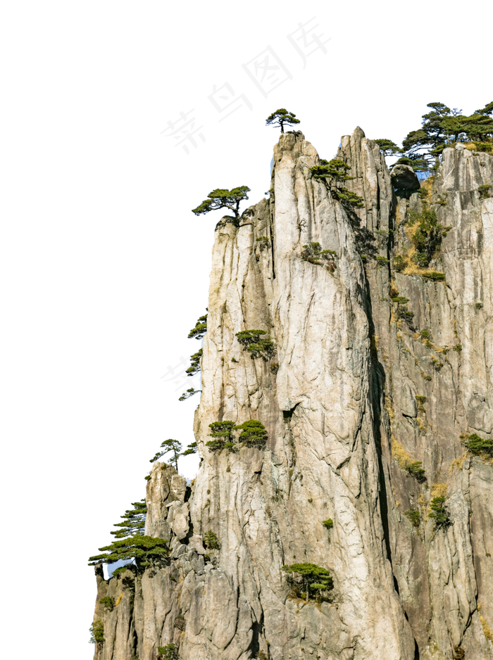 悬崖峭壁上顽强的松树,免抠元素(2000X2000)