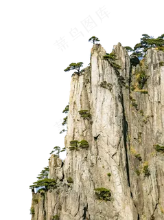 悬崖峭壁上顽强的松树,免抠元素 悬崖峭壁上顽强的松树,免抠元素