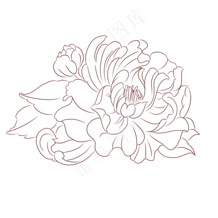 植物花草花线稿牡丹花(2000X2000(DPI:300))psd模版下载