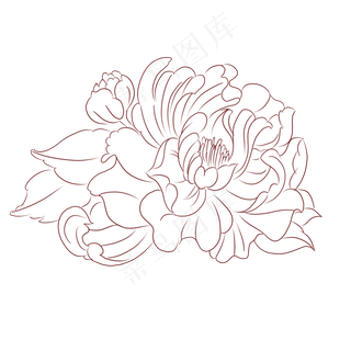 植物花草花线稿牡丹花