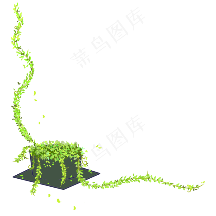 毕业季学士帽绿色植物花边