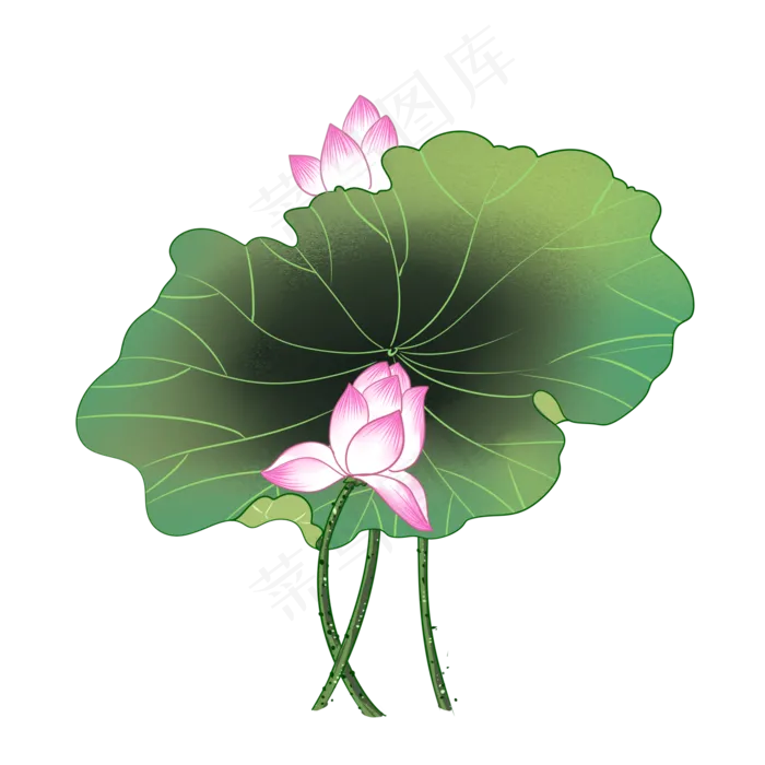 荷花荷叶莲花(2000X2000(DPI:299))psd模版下载