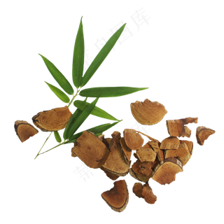 雷公藤中药药材,免抠元素