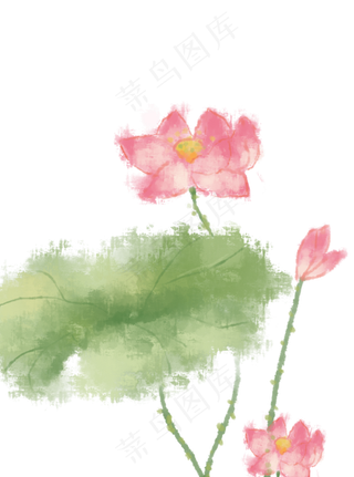 淡彩水墨国画荷花