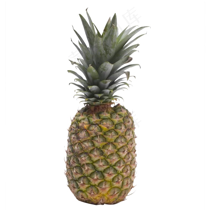 新鲜菠萝,免抠元素(2000*2000px 300 dpi )